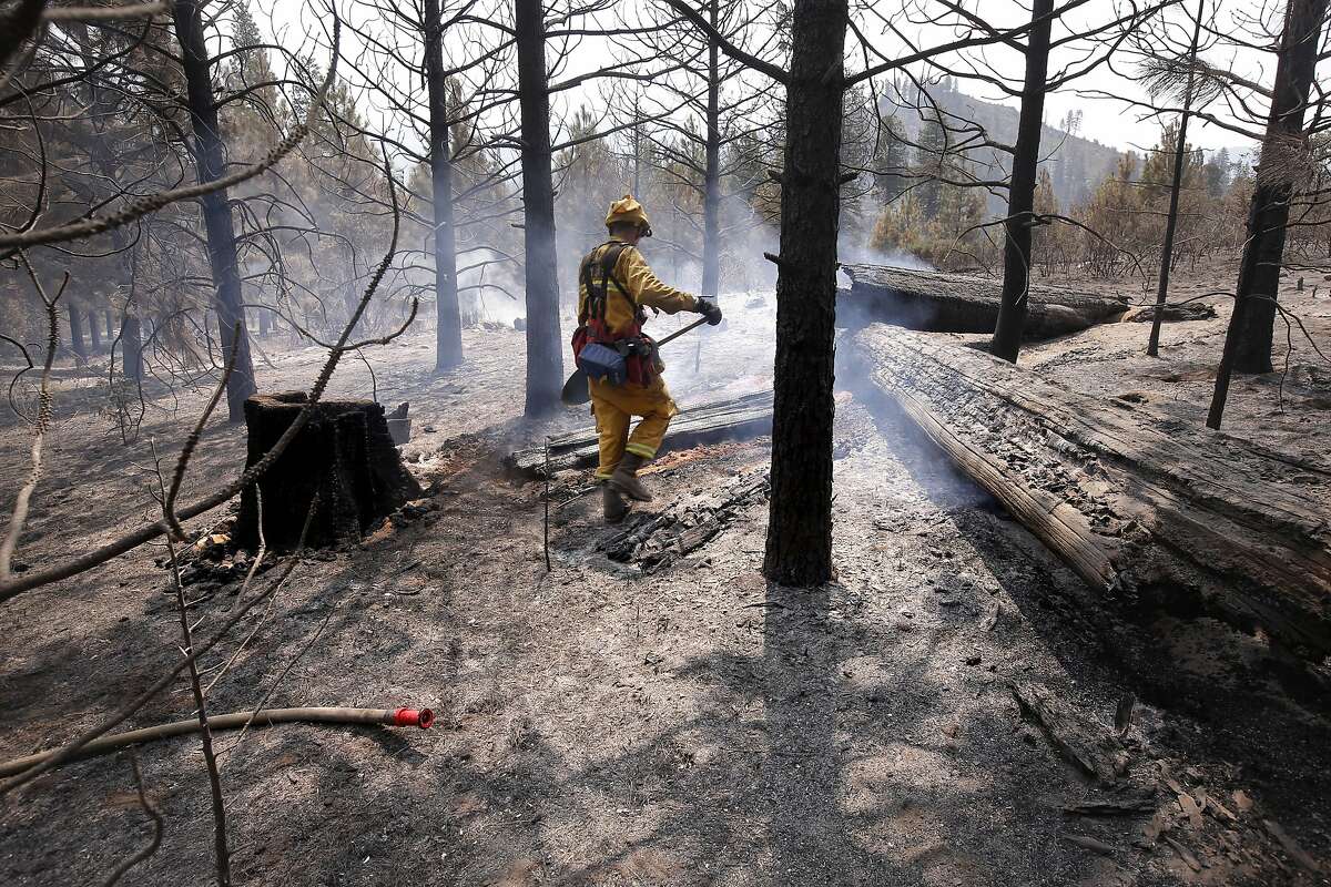 Here's how California has increased forest management and wildfire